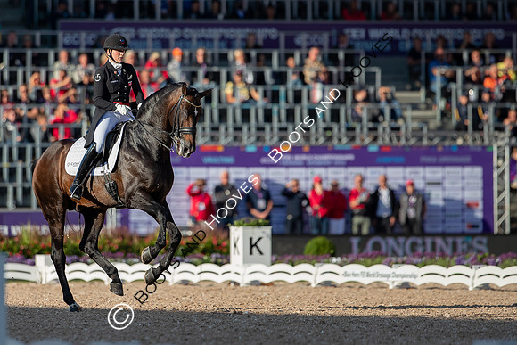 The FEI World Championships Herning 2022