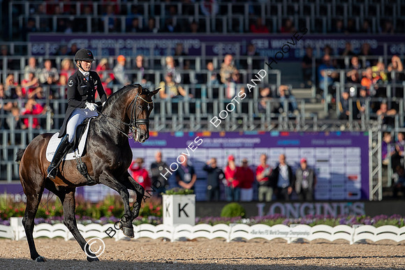 The FEI World Championships Herning 2022