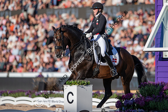 The FEI World Championships Herning 2022