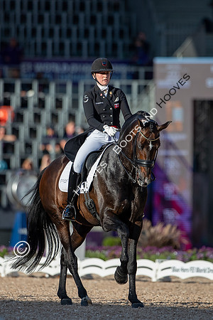 The FEI World Championships Herning 2022