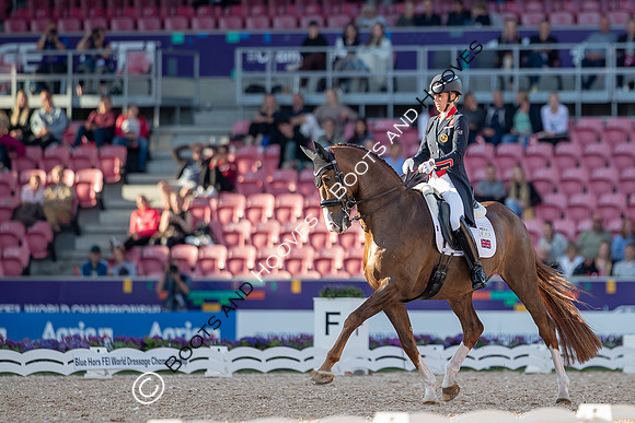 The FEI World Championships Herning 2022