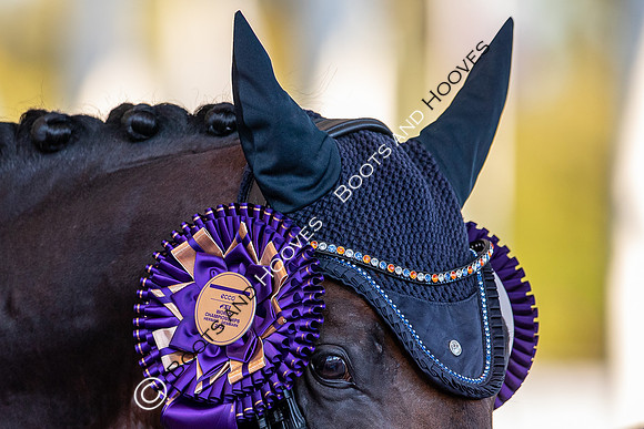 The FEI World Championships Herning 2022