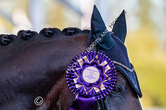 The FEI World Championships Herning 2022