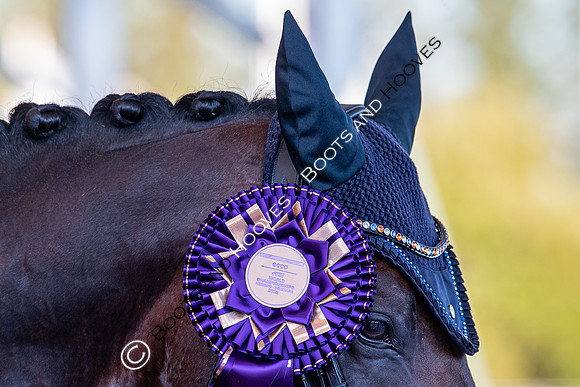 The FEI World Championships Herning 2022