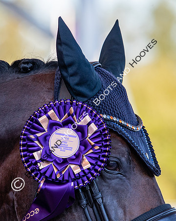 The FEI World Championships Herning 2022