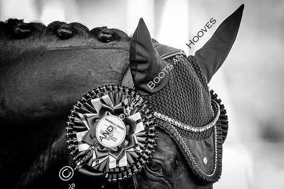 The FEI World Championships Herning 2022