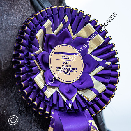 The FEI World Championships Herning 2022