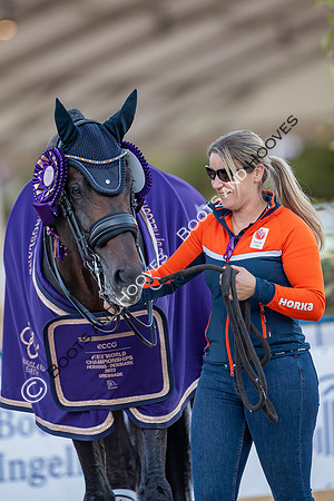 The FEI World Championships Herning 2022