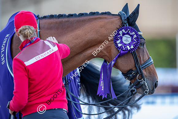 The FEI World Championships Herning 2022
