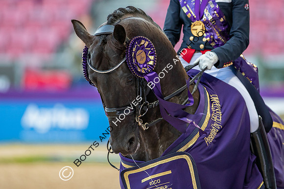 The FEI World Championships Herning 2022