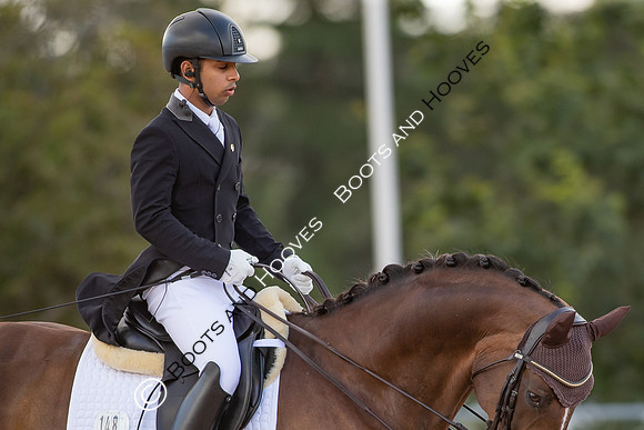 The FEI World Championships Herning 2022