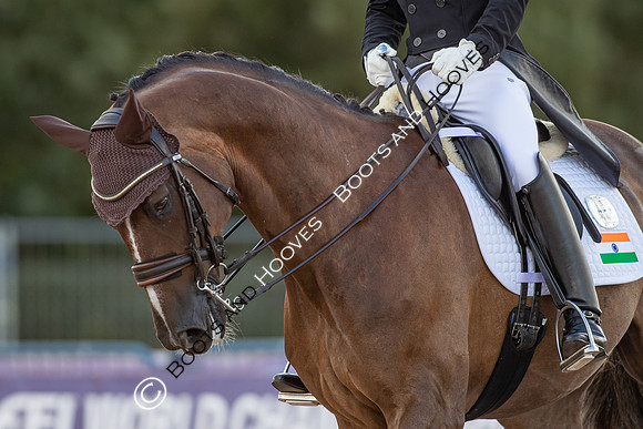 The FEI World Championships Herning 2022