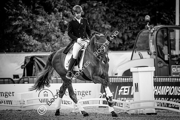 The FEI World Championships Herning 2022
