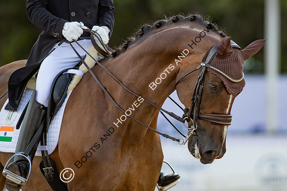 The FEI World Championships Herning 2022