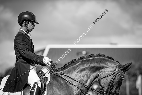 The FEI World Championships Herning 2022