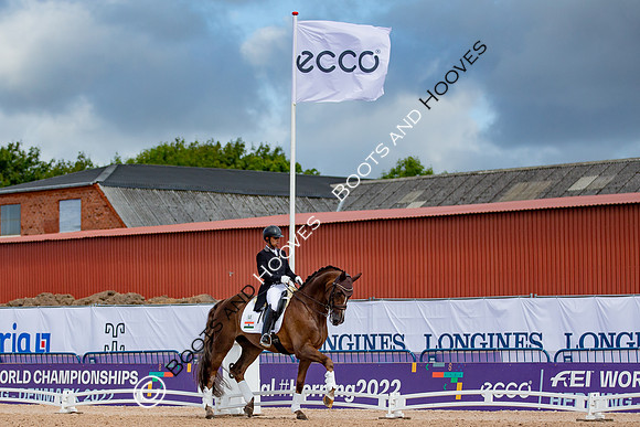The FEI World Championships Herning 2022