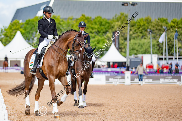 The FEI World Championships Herning 2022