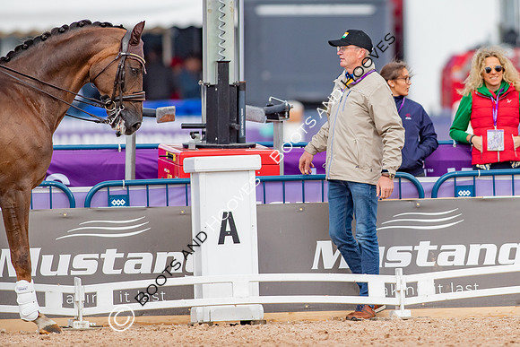 The FEI World Championships Herning 2022