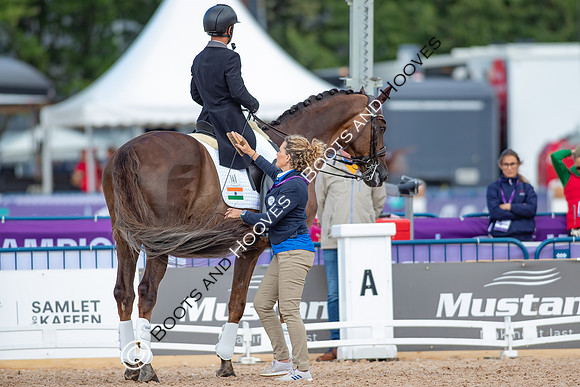The FEI World Championships Herning 2022