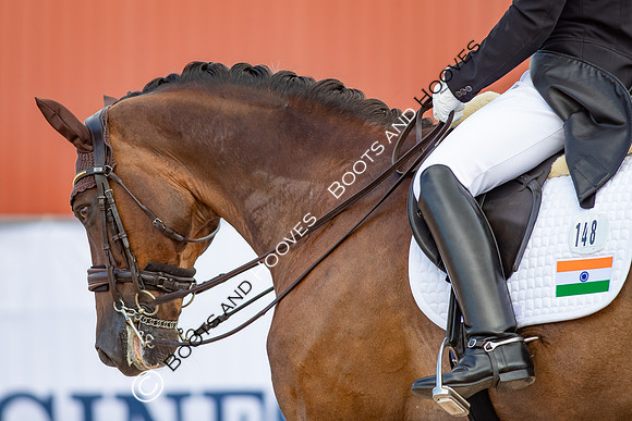 The FEI World Championships Herning 2022