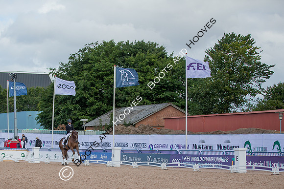 The FEI World Championships Herning 2022