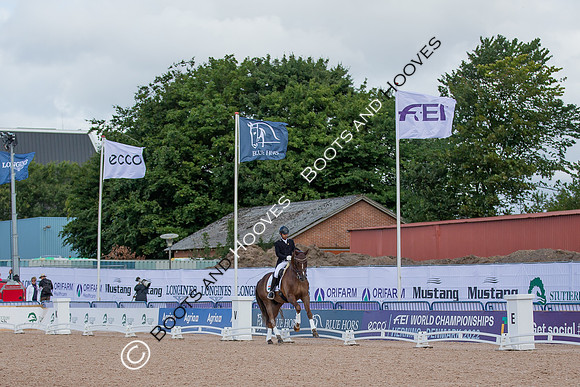 The FEI World Championships Herning 2022