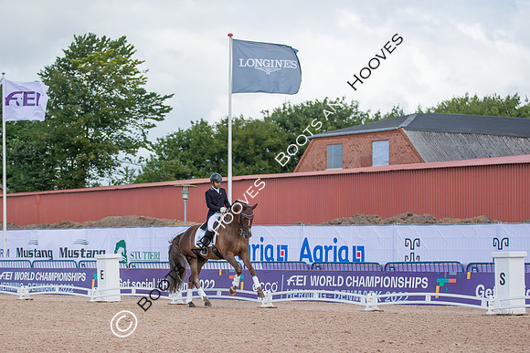 The FEI World Championships Herning 2022