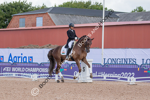 The FEI World Championships Herning 2022