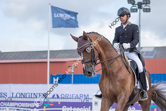 The FEI World Championships Herning 2022