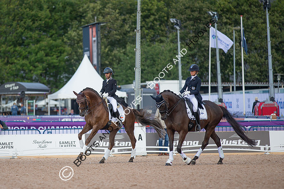 The FEI World Championships Herning 2022