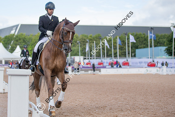 The FEI World Championships Herning 2022