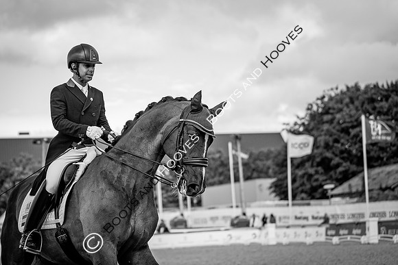 The FEI World Championships Herning 2022