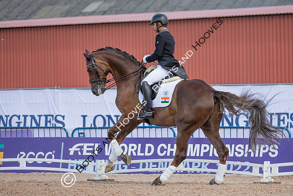 The FEI World Championships Herning 2022