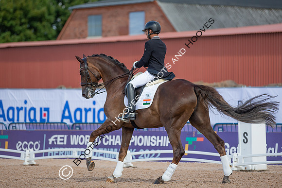 The FEI World Championships Herning 2022