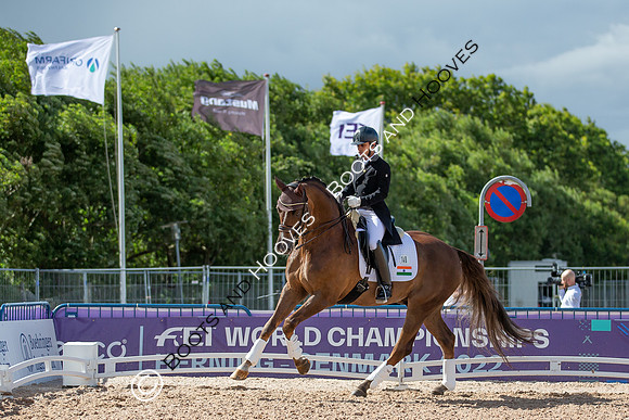 The FEI World Championships Herning 2022