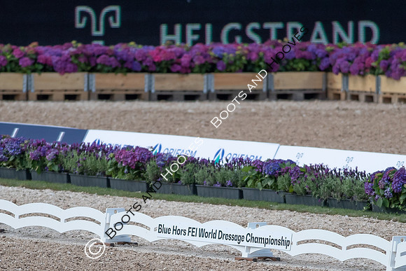 The FEI World Championships Herning 2022