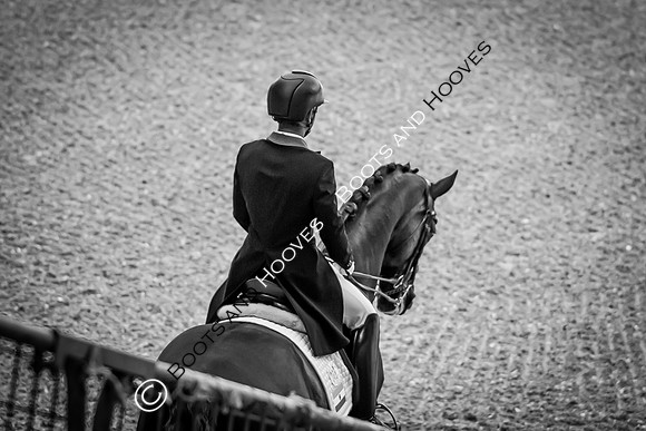 The FEI World Championships Herning 2022