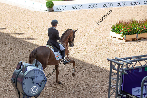 The FEI World Championships Herning 2022
