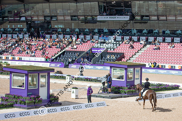The FEI World Championships Herning 2022