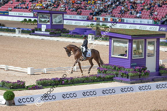 The FEI World Championships Herning 2022