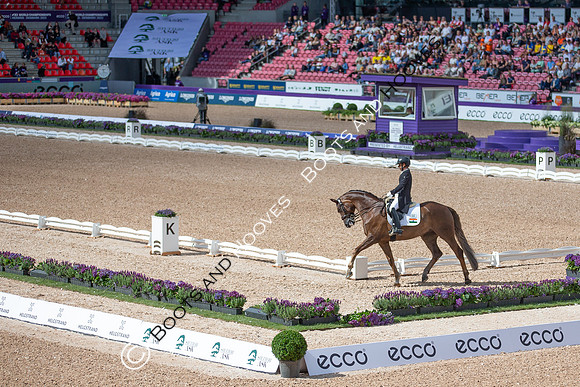 The FEI World Championships Herning 2022