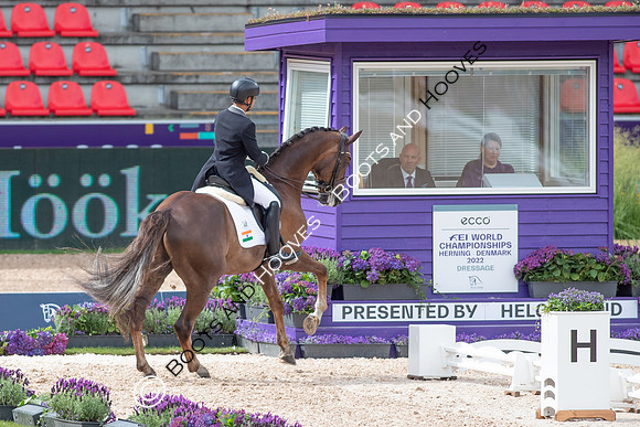 The FEI World Championships Herning 2022