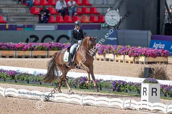 The FEI World Championships Herning 2022