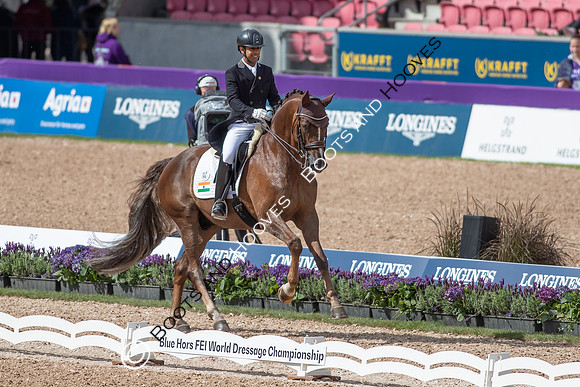 The FEI World Championships Herning 2022