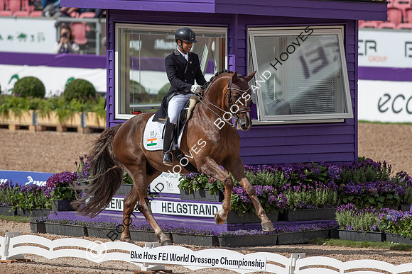 The FEI World Championships Herning 2022
