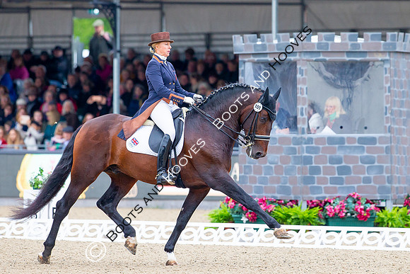 Royal Windsor Horse Show