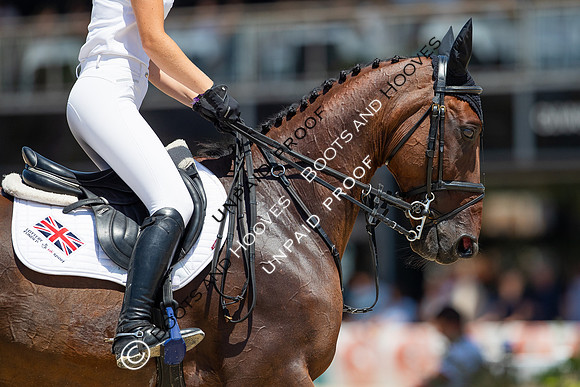 FEI Junior European Championship Young Riders, Juniors & Childre