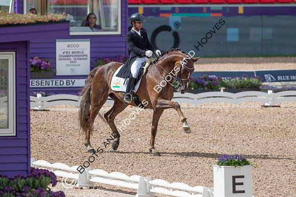 The FEI World Championships Herning 2022