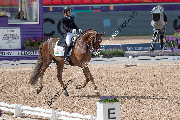 The FEI World Championships Herning 2022