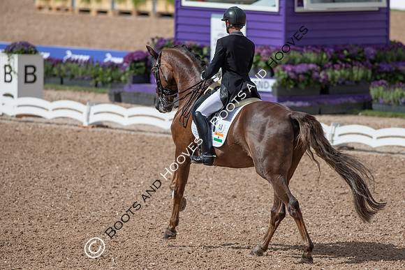 The FEI World Championships Herning 2022